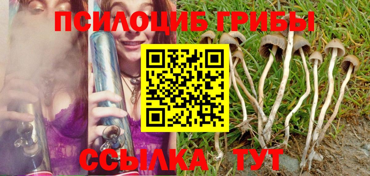 Псилоцибиновые грибы ЛСД Чапаевск